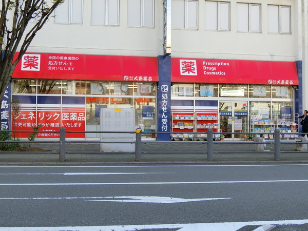 湘南台ダイヤモンドマンション(大島薬局 湘南台店)