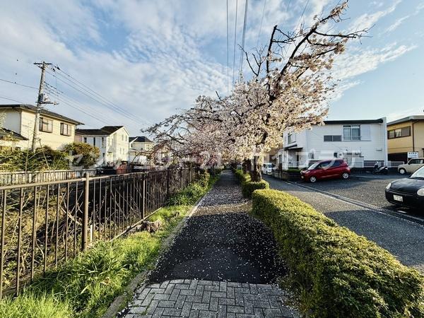 藤沢市遠藤の新築一戸建