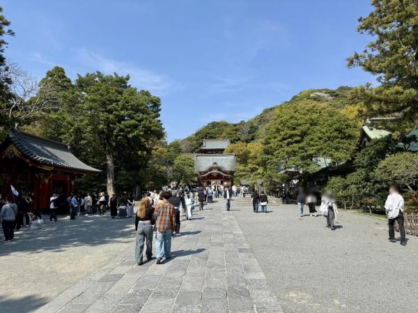 鎌倉市浄明寺3丁目の土地(鶴岡八幡宮)