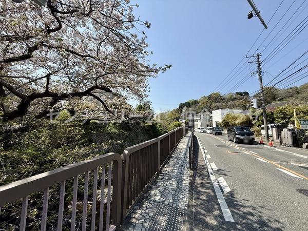 鎌倉市浄明寺３丁目の土地