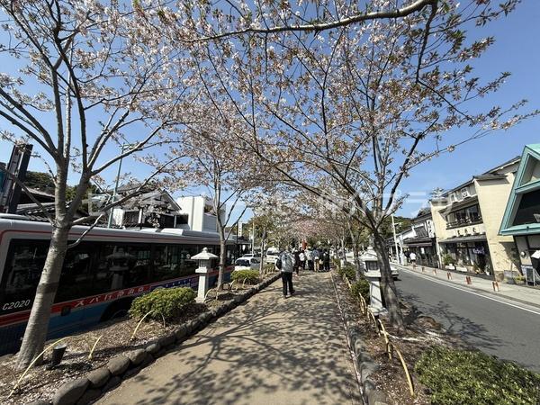 鎌倉市浄明寺３丁目の土地