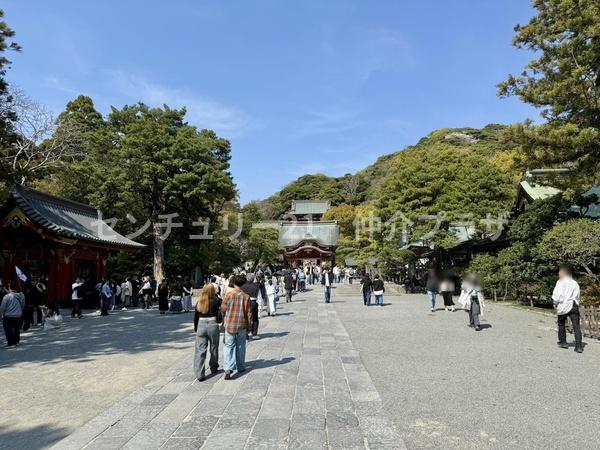 鎌倉市浄明寺３丁目の土地
