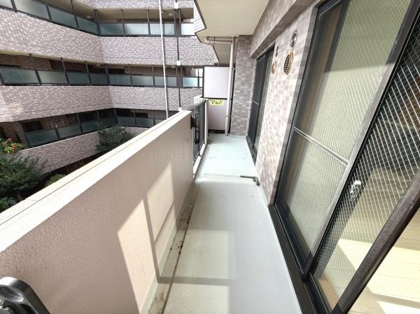 シーダム藤沢善行