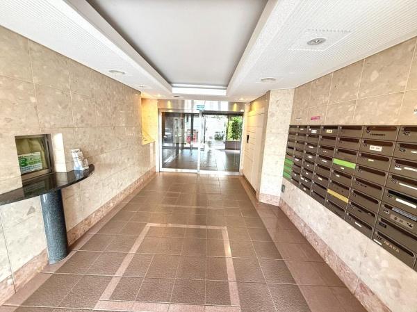 シーダム藤沢善行