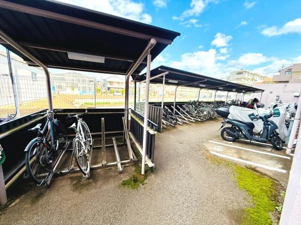 シーダム藤沢善行