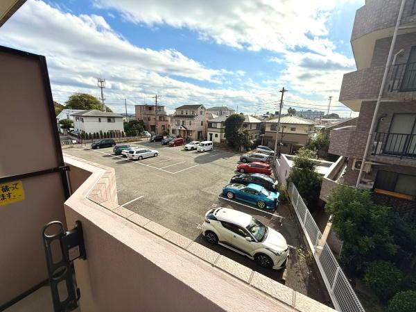 シーダム藤沢善行