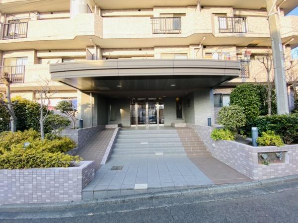 シーダム藤沢善行