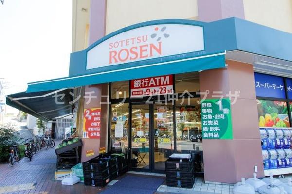 シーダム藤沢善行