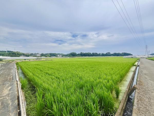 藤沢市西俣野の土地