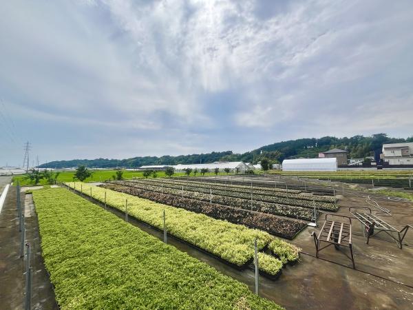 藤沢市西俣野の土地