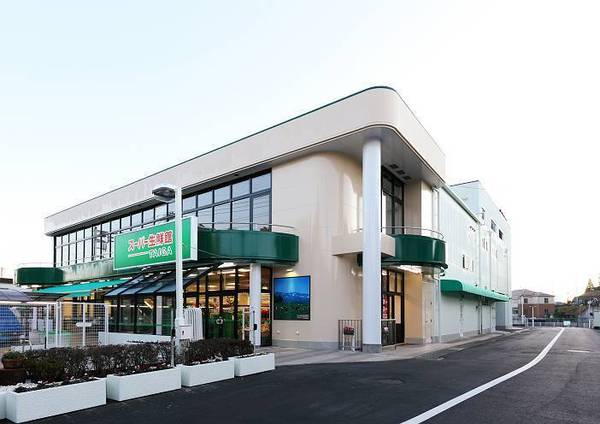 キャッスル戸塚(スーパー生鮮館TAIGA岡津店)