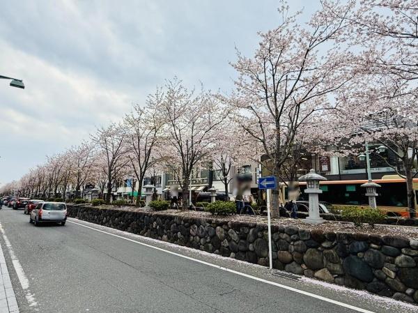 鎌倉市材木座６丁目の土地