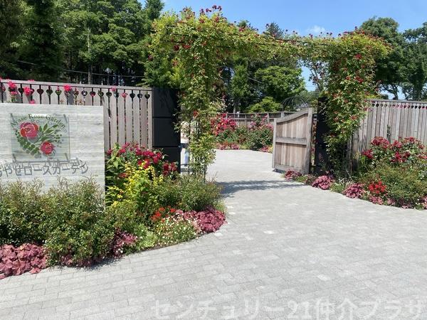 ソレイユ湘南(ローズガーデン（光陵公園内）)