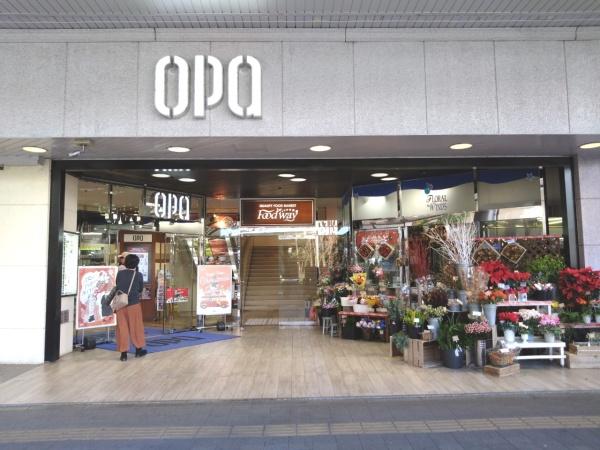 藤沢ガーデンハウス(湘南藤沢オーパ)