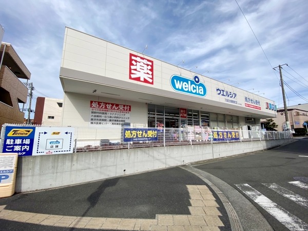 藤沢市亀井野新築戸建全2棟A棟(ウエルシア六会日大前駅東口店)