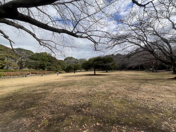 藤沢市大庭の土地(大庭城址公園)