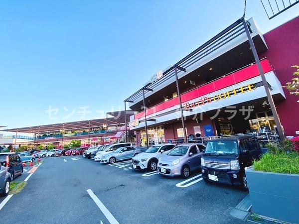 藤沢市本藤沢2丁目新築全3棟1号棟(トレアージュ白旗4)