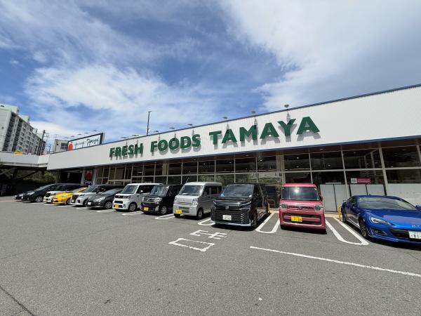 市ドリームハイツ2号棟(たまや深谷店)