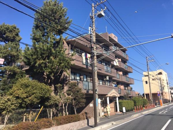 ドラゴンマンション湘南辻堂壱番館
