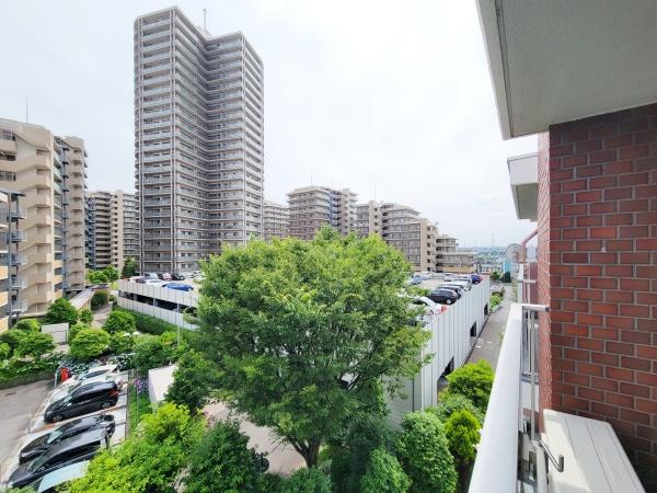 湘南台ブラウンハイム