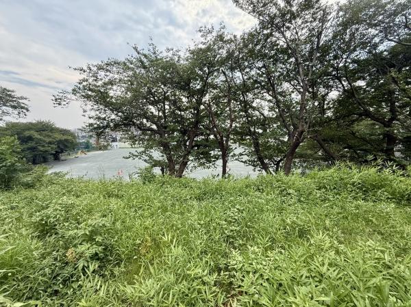 藤沢市善行坂1丁目土地