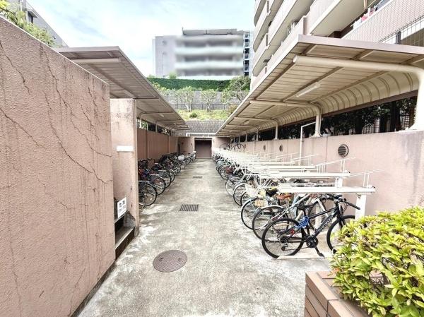 フォルスコート藤沢善行