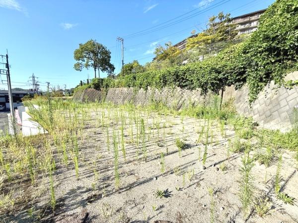 鎌倉市常盤の土地