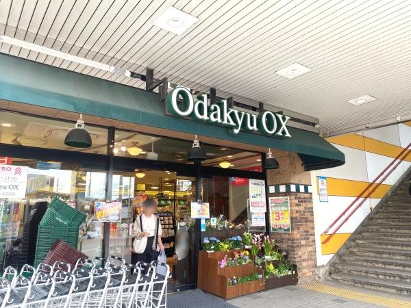 藤沢市長後新築戸建全2棟2号棟(odakyuOX長後店)