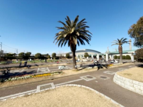 レーベン鵠沼海岸BLUENOVA(鵠沼運動公園（八部公園）)