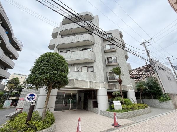 シルフィード湘南