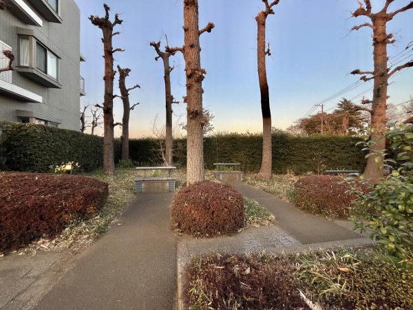 セルテシティオ世田谷烏山