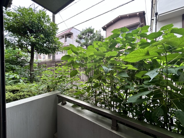 日神デュオステージ高円寺