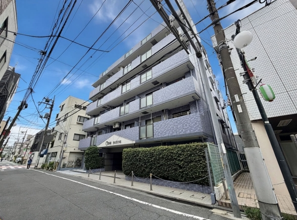 セザール蓮根