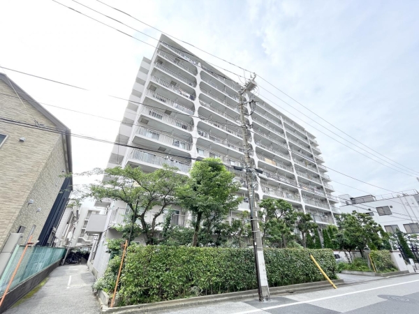 宇喜田カメリア