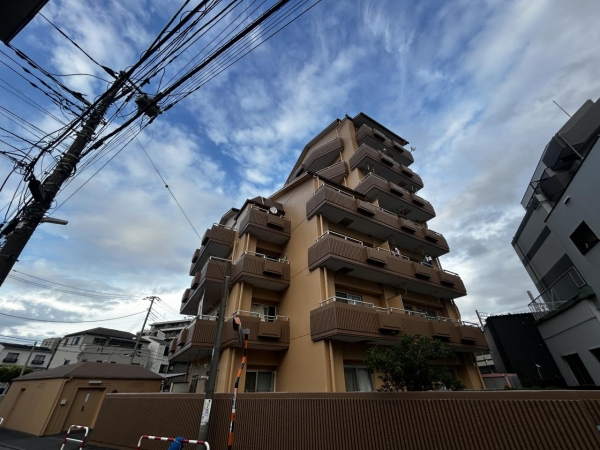 セントエルモ綾瀬