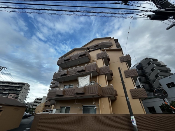 セントエルモ綾瀬