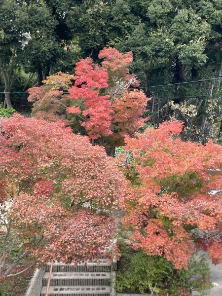 熊本市東区八反田１丁目の中古一戸建て