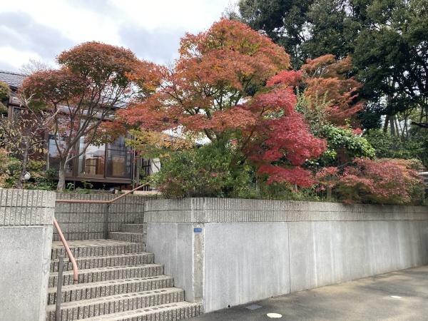 東区八反田1丁目中古戸建