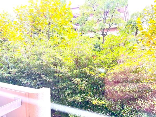 広尾ガーデンヒルズウエストヒルK棟(現地からの眺望)