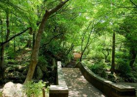 広尾ガーデンヒルズウエストヒルK棟(その他)