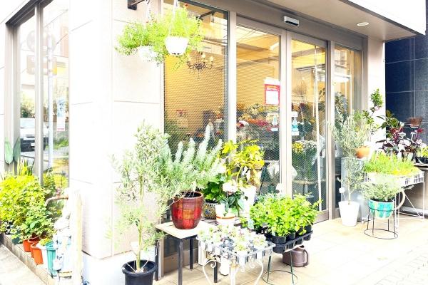 本郷パーク・ホームズ(花屋)