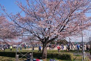 久喜市江面の土地(久喜市総合運動公園)