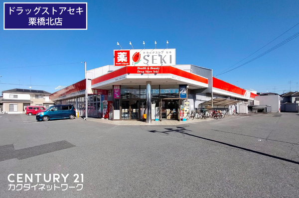 加須市旗井の土地(ドラッグストアセキ栗橋北店)