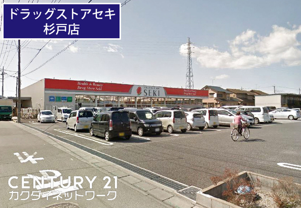幸手市大字戸島の土地(ドラッグストアセキ杉戸店)