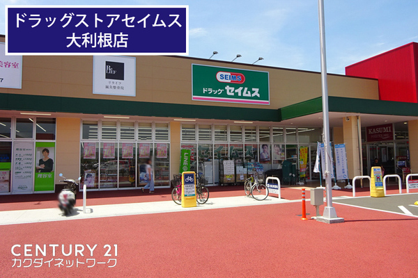 久喜市佐間の土地(ドラッグセイムスピアシティ大利根店)