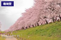 GRAFARE幸手市西4期 全5棟 5号棟(権現堂堤)