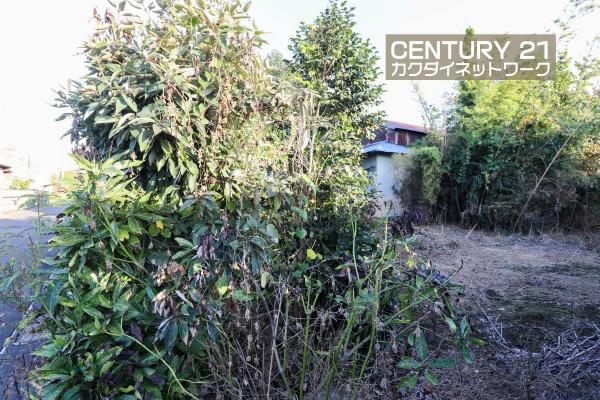 加須市旗井の土地