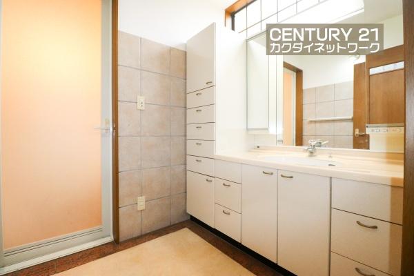 加須市大越の中古一戸建て(洗面台・洗面所)