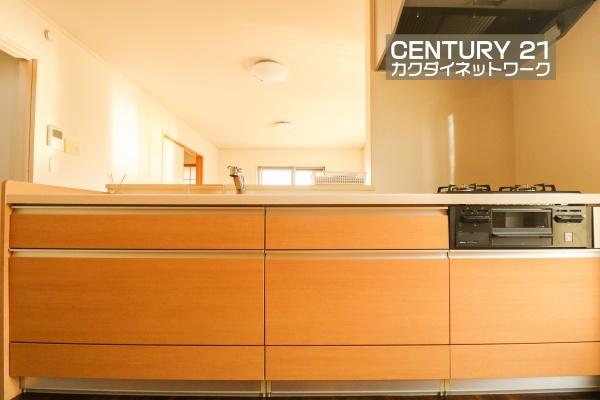 北葛飾郡杉戸町大字堤根の中古一戸建て(キッチン)