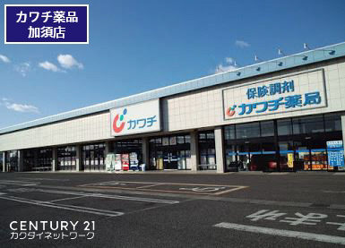加須市下高柳の土地(カワチ薬品加須店)